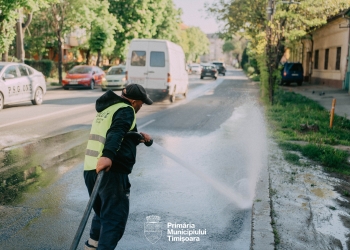 Primăria Timișoara a început curățenia la bordură FOTO