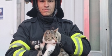 Fiecare viață contează! Pompierii din Timișoara au salvat o pisică blocată