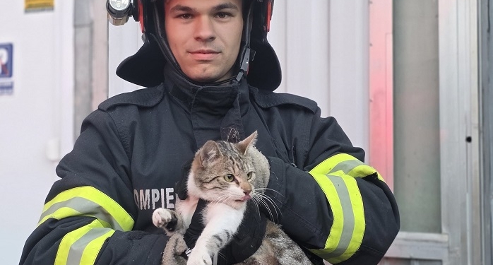 Fiecare viață contează! Pompierii din Timișoara au salvat o pisică blocată