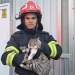 Fiecare viață contează! Pompierii din Timișoara au salvat o pisică blocată