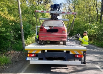 Aproape 800 de rable, ridicate de pe domeniul public al Timișoarei, în acest an FOTO