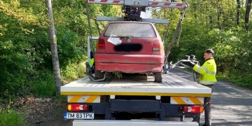 Aproape 800 de rable, ridicate de pe domeniul public al Timișoarei, în acest an FOTO