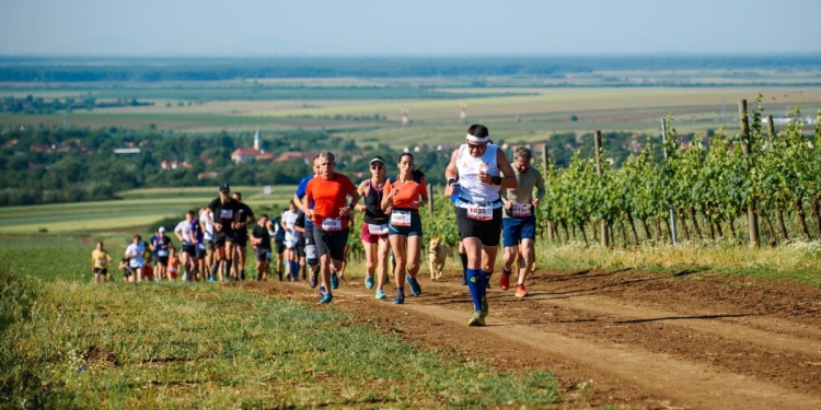 Ultimul apel pentru alergători. Înscrierile la „La Petrovaselo în vie” se încheie pe 13 aprilie