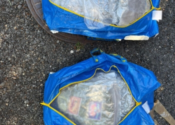 Flagrant DIICOT: 13 kg de canabis în Buziaș