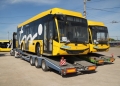Primele autobuze electrice noi au ajuns la Timișoara