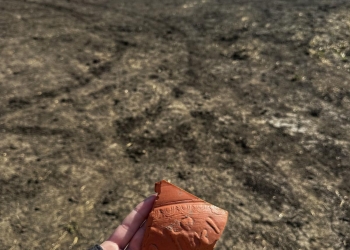 Istoria sub asfalt. Vestigii romane descoperite pe traseul Centurii Timișoara Vest