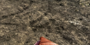 Istoria sub asfalt. Vestigii romane descoperite pe traseul Centurii Timișoara Vest