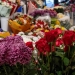 Primăvara colorează piețele din Timișoara înainte de 8 Martie FOTO
