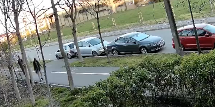 Nesimţire cu carul! Două persoane, filmate în timp ce aruncă gunoaie pe domeniul public, la Timişoara