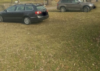 Recomandări de la Poliția Locală pentru un 1 Mai liniștit