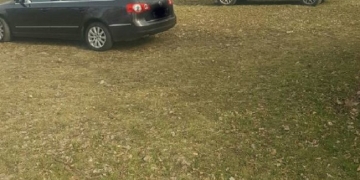 Recomandări de la Poliția Locală pentru un 1 Mai liniștit