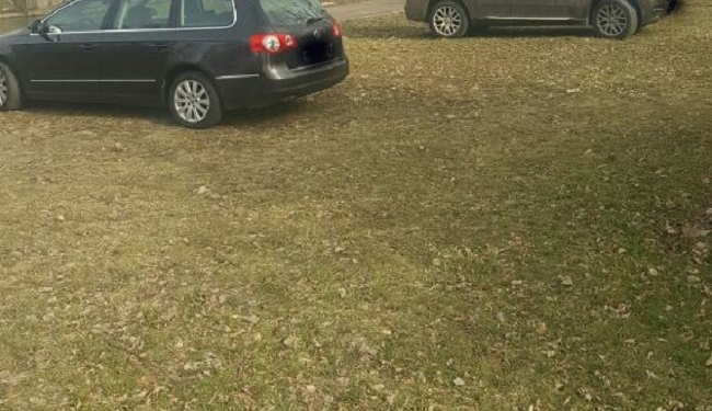 Recomandări de la Poliția Locală pentru un 1 Mai liniștit