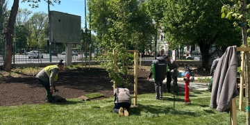 Pe ultima sută de metri: noul spațiu verde de la „Louis Țurcanu” prinde contur