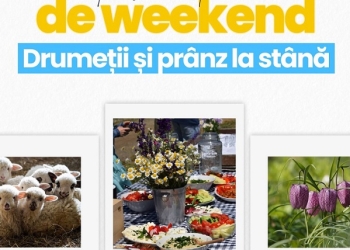 Recomandare de weekend Visit Timiș: Drumeție la laleaua pestriță și prânz la stână