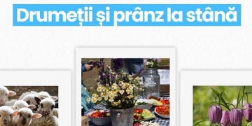 Recomandare de weekend Visit Timiș: Drumeție la laleaua pestriță și prânz la stână