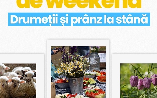 Recomandare de weekend Visit Timiș: Drumeție la laleaua pestriță și prânz la stână