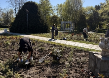 Mii de trandafiri plantați în Parcul Rozelor din Timișoara