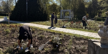 Mii de trandafiri plantați în Parcul Rozelor din Timișoara