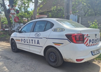 Sute de amenzi aplicate de polițiștii din Timiș în zona trecerilor la nivel cu calea ferată și în stații FOTO