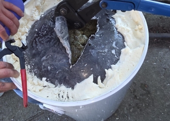 Droguri ascunse în boiler: Flagrant de proporții pe străzile din Timișoara