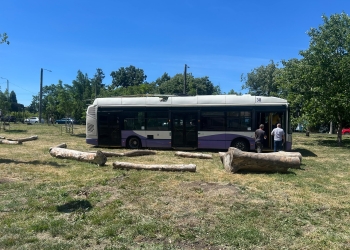 CODRU ART BUS, de 1 Iunie în Parcul Copiilor! Un troleibuz scos din uz devine lucrare de artă