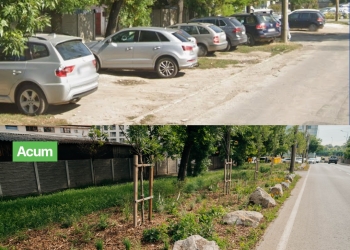 Primăria Timișoara contestă amenda Gărzii de Mediu pentru piatra pusă să protejeze spațiile verzi