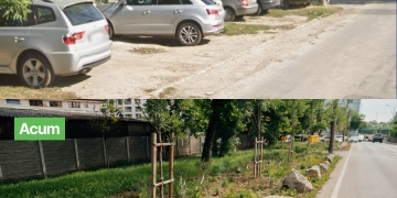 Primăria Timișoara contestă amenda Gărzii de Mediu pentru piatra pusă să protejeze spațiile verzi
