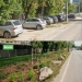 Primăria Timișoara contestă amenda Gărzii de Mediu pentru piatra pusă să protejeze spațiile verzi