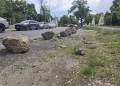 Garda de Mediu Timiş: Bolovanii amplasaţi de Primăria Timișoara au deteriorat spațiile verzi