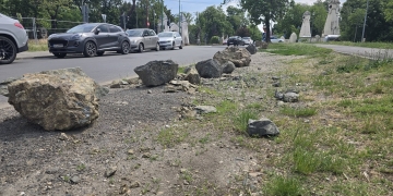 Garda de Mediu Timiş: Bolovanii amplasaţi de Primăria Timișoara au deteriorat spațiile verzi