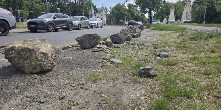 Garda de Mediu Timiş: Bolovanii amplasaţi de Primăria Timișoara au deteriorat spațiile verzi