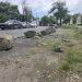 Garda de Mediu Timiş: Bolovanii amplasaţi de Primăria Timișoara au deteriorat spațiile verzi