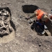 Descoperire rară pe Centura Timișoara Vest: mormânt de războinic călare, din secolele VI–VII