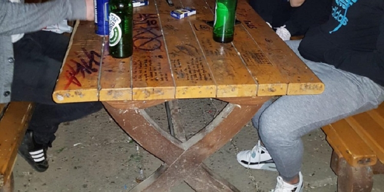 Val de amenzi în Timișoara din cauza zgomotului. Peste 76.000 de lei plătiți de cei care au tulburat liniștea publică