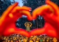 Visit Timișoara lansează o nouă campanie dedicată evenimentelor estivale, menită să atragă turiști