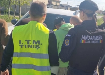 Zeci de persoane găsite muncind la negru, într-o singură lună, în Timiș