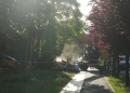 Un nou teren de pe malul Begăi va fi eliberat de Primăria Timișoara pentru extinderea unui parc FOTO