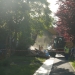 Un nou teren de pe malul Begăi va fi eliberat de Primăria Timișoara pentru extinderea unui parc FOTO