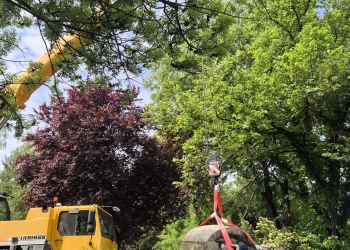 2 sculpturi salvate de la uitare pot fi admirate pe malul Begăi, în Timișoara