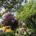 2 sculpturi salvate de la uitare pot fi admirate pe malul Begăi, în Timișoara