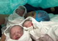 Minune medicală la Maternitatea Bega din Timișoara. O mămică de 44 de ani a născut tripleți concepuți pe cale naturală