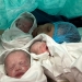 Minune medicală la Maternitatea Bega din Timișoara. O mămică de 44 de ani a născut tripleți concepuți pe cale naturală
