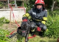 Fiecare viață contează! Peste o sută de animale și păsări, salvate de pompierii din Timiș în acest an