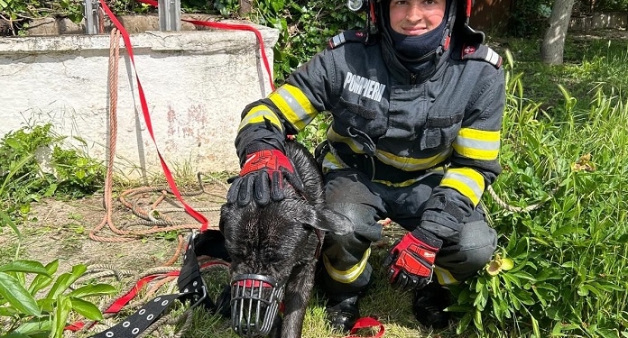 Fiecare viață contează! Peste o sută de animale și păsări, salvate de pompierii din Timiș în acest an