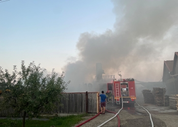Incendiu la o fabrică de prelucrare a lemnului din Timiş! Pompierii au intervenit de urgenţă FOTO