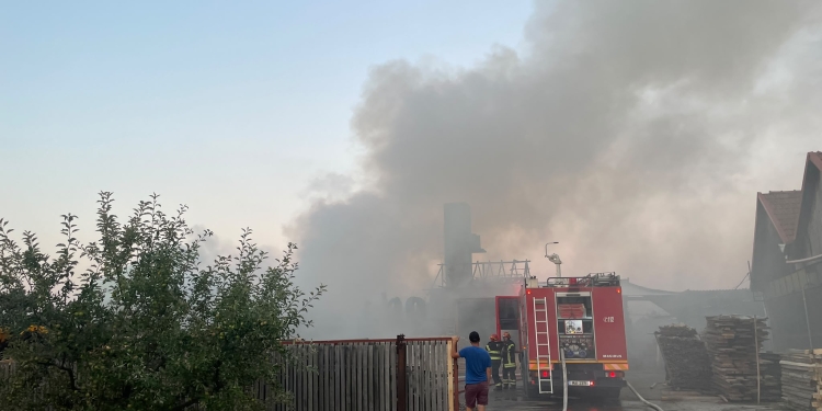 Incendiu la o fabrică de prelucrare a lemnului din Timiş! Pompierii au intervenit de urgenţă FOTO