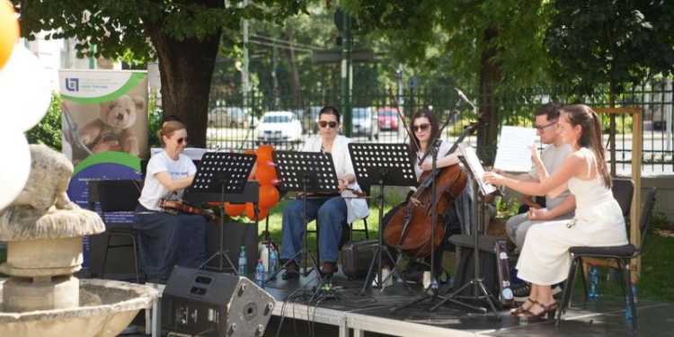 Recuperare prin muzică, la Timișoara. Concerte programate în 2 spitale din oraș