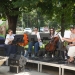 Recuperare prin muzică, la Timișoara. Concerte programate în 2 spitale din oraș