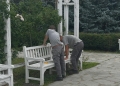 Continuă „schimbarea la față” a Parcului Rozelor din Timișoara