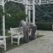 Continuă „schimbarea la față” a Parcului Rozelor din Timișoara